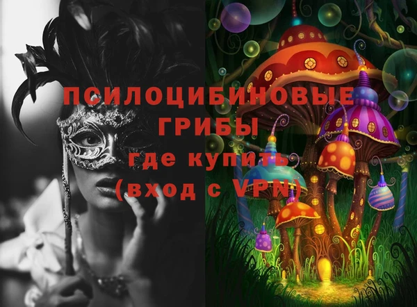 PSILOCYBIN Володарск