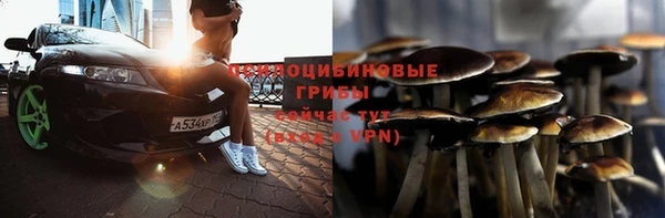 дживик Нефтекумск