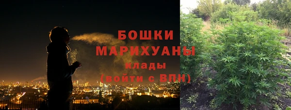 ГАЛЛЮЦИНОГЕННЫЕ ГРИБЫ Наволоки